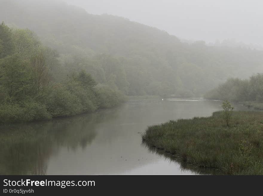 foggy morning