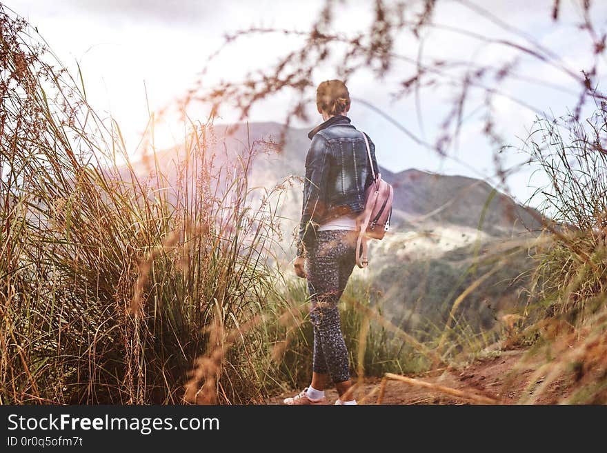 Woman standing on mountain in morning. Bali island. Indonesia. Woman standing on mountain in morning. Bali island. Indonesia.