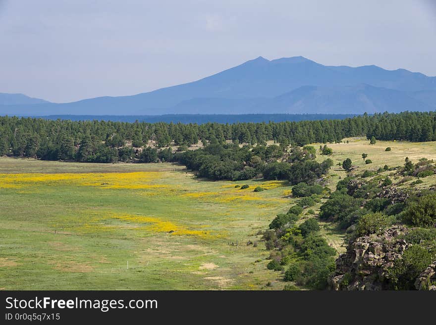 Mormon Lake is the largest natural lake in Arizona... sometimes. During droughts it&#x27;s frequently not so large, and not so much a lake. Occasionally it&#x27;s even bone dry. Wet or not, this has an excellent overlook where you can often see wildlife and birds across the lake&#x27;s landscape. In the late summer of 2016, a large herd of elk took up residence. The lake&#x27;s water levels were quite low, creating large grassy areas for the elk to graze. Moonsoon rains brought out late summer wildflowers. Photo August 21, 2016 by Deborah Lee Soltesz. Credit: U.S. Forest Service Coconino National Forest. Learn more about Mormon Lake on the Coconino National Forest.