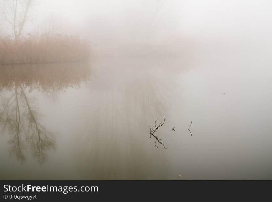 morgendlicher Nebel getränkt im Licht der aufgehenden Sonne. Das ist nun auch das letzte nebelige Foto aus der Serie. morgendlicher Nebel getränkt im Licht der aufgehenden Sonne. Das ist nun auch das letzte nebelige Foto aus der Serie.