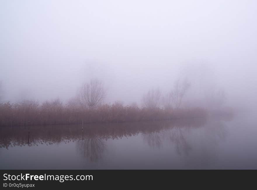 morgendlicher Nebel getränkt im Licht der aufgehenden Sonne. morgendlicher Nebel getränkt im Licht der aufgehenden Sonne.