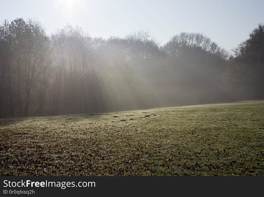 This morning I wanted to give the VoigtlÃ¤nder Nokton classic 1,4/35mm a try in the morning sun. And i think flares and counter light are handled quite well. This morning I wanted to give the VoigtlÃ¤nder Nokton classic 1,4/35mm a try in the morning sun. And i think flares and counter light are handled quite well.