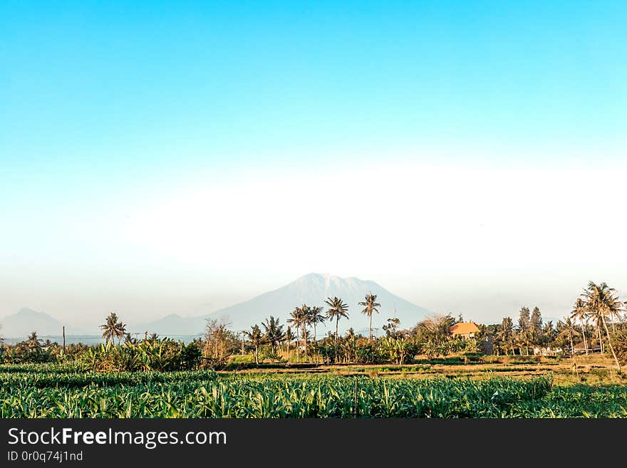 Mount Agung landscape. Holy Volcano Agung. Bali island. Indonesia. Mount Agung landscape. Holy Volcano Agung. Bali island. Indonesia