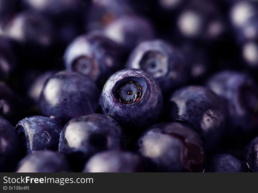 Blueberry blueberries background, close-up