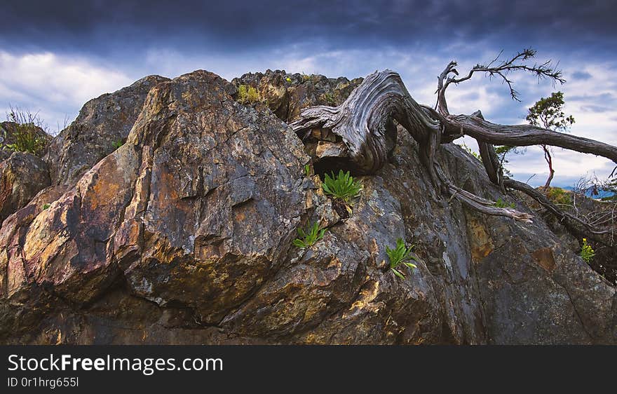 The beautiful scenic scapes of Vancouver and the Fraser Valley