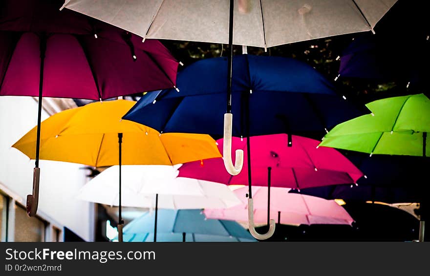 Street decorated with colored umbrellas