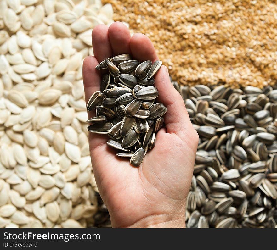 Hand holding sunflower seeds against sesame, sunflower and pumpkin seeds background. Healthy food