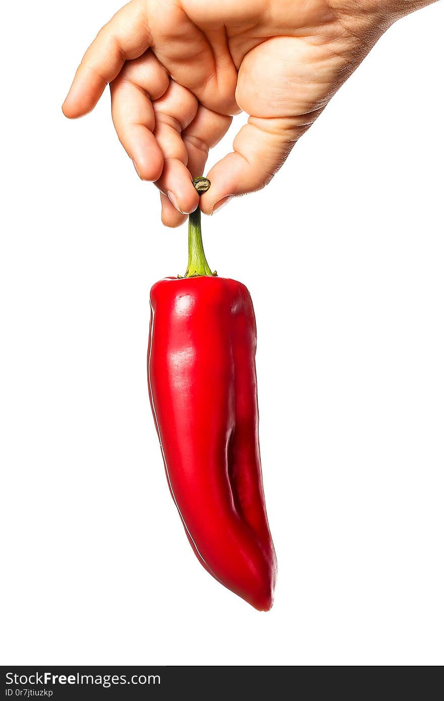 Hand holding a red bell sweet pepper. Hand, paprika white background. Vegetables in the kitchen. Hand holding a red bell sweet pepper. Hand, paprika white background. Vegetables in the kitchen