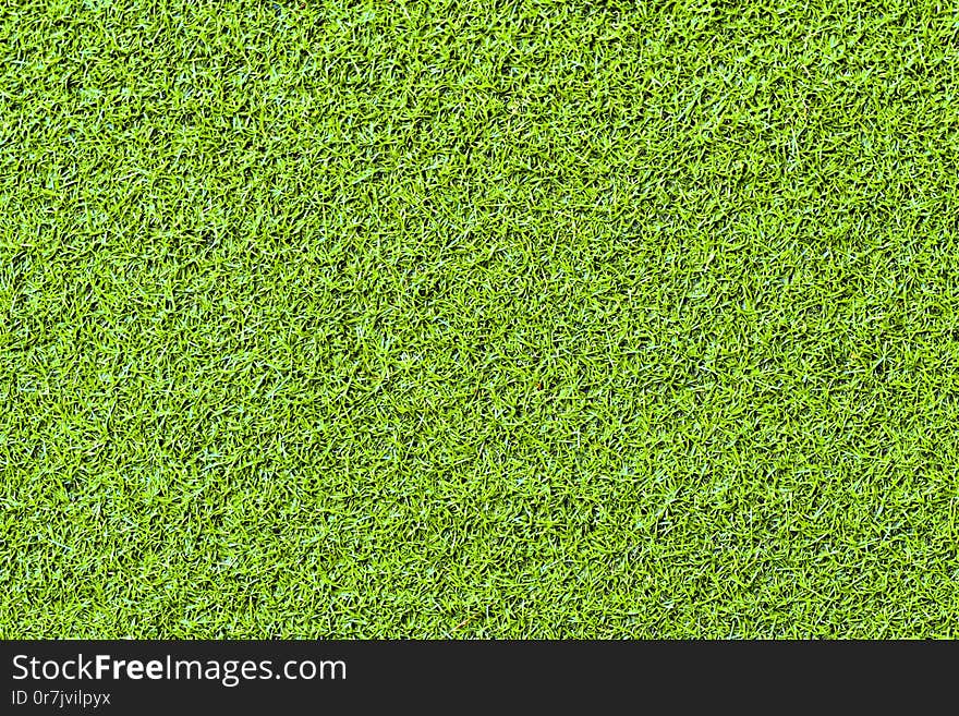 Artificial Grass Background