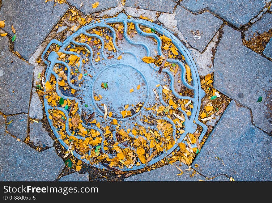 Looking down at manhole lid with yellow autumn leafs. Looking down at manhole lid with yellow autumn leafs