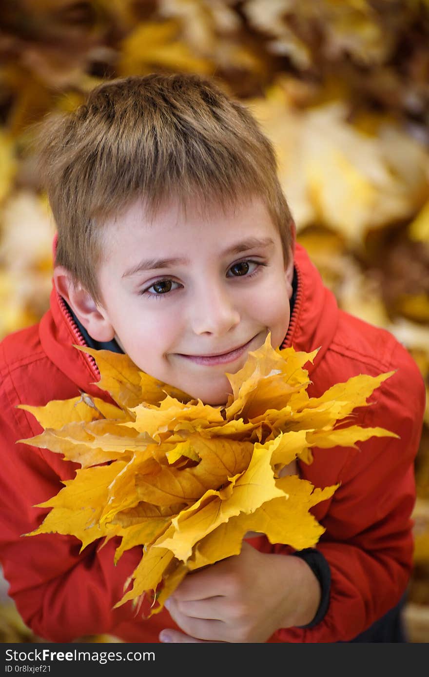 Cute boy with a bouquet of autumn leaves stands and looks up. Top view. Autumn concept.