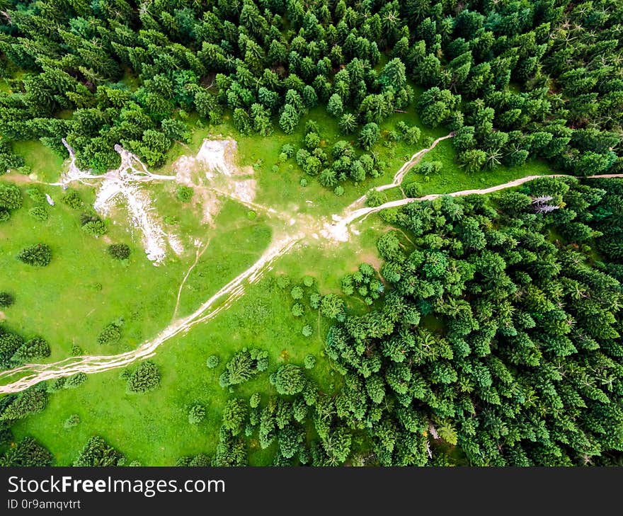 Aerial top down view to forest, trees and tourist paths in Slovakia national park Mala Fatra. Vibrant colors, fresh nature and beautiful forest