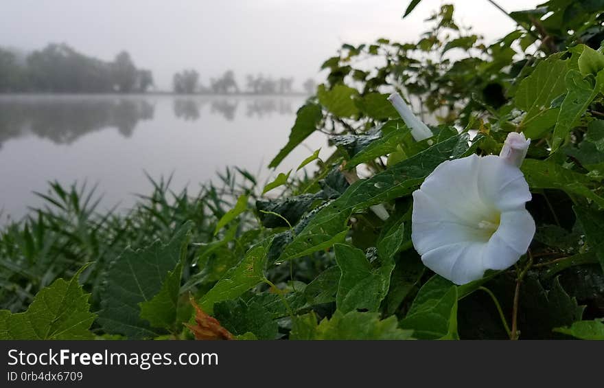 Heron Pond Columbus, Ohio. Heron Pond Columbus, Ohio