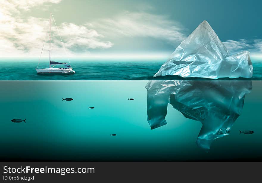 Plastic pollution in marine environmental problems Animals in the sea cannot live. And cause plastic pollution in the ocean