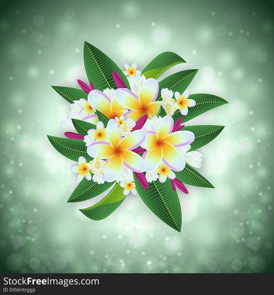 Illustration of tropical floral card template with plumeria flowers and glitter background. Illustration of tropical floral card template with plumeria flowers and glitter background