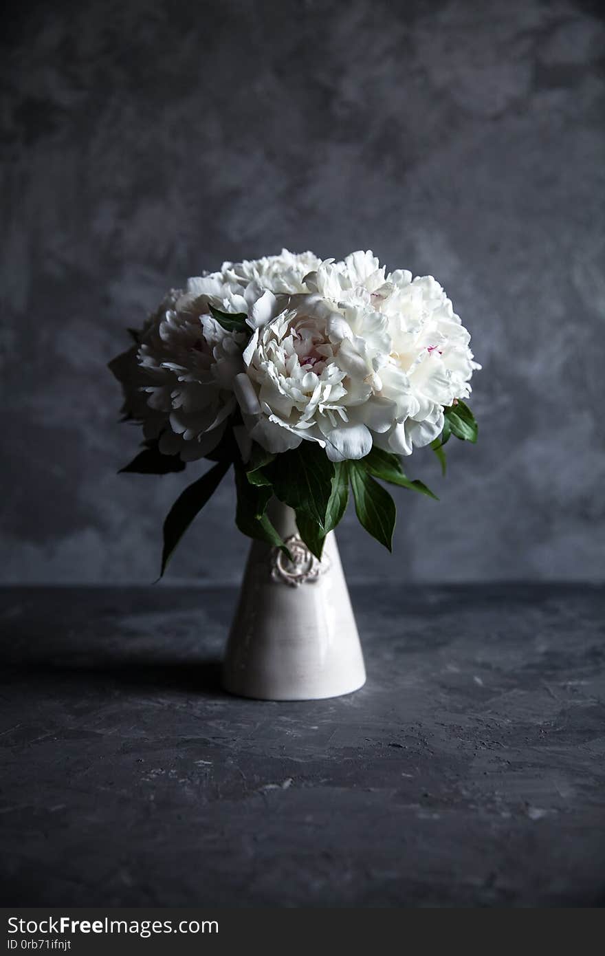 Beautiful peonies on grey concrete background. Wedding, birthday, valentine`s day, gift or women`s day concept