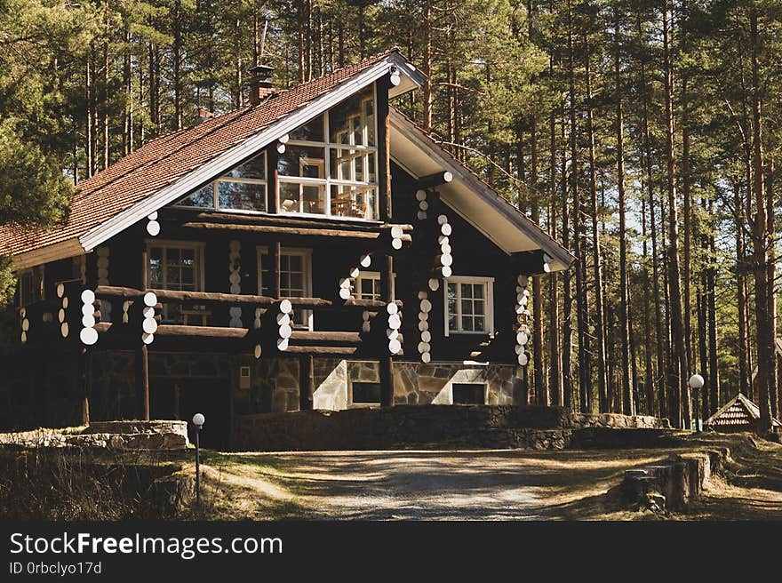 Beautiful wooden log cottage in the forest