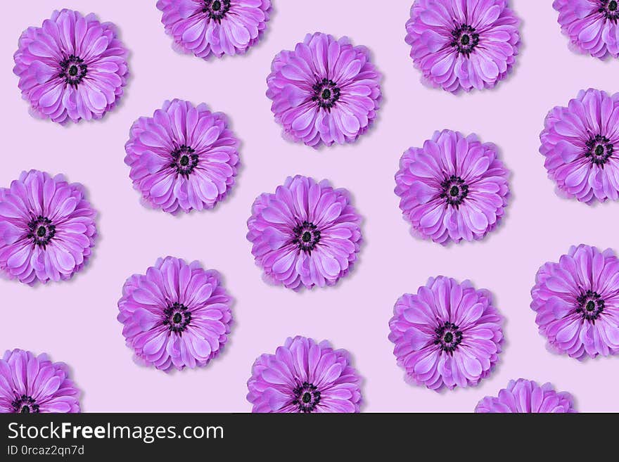 Purple flower pattern on a purple background.