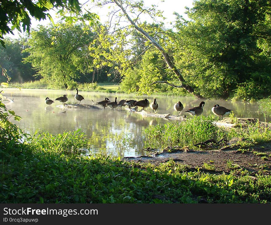 Heron Pond Area Columbus, Ohio. Heron Pond Area Columbus, Ohio