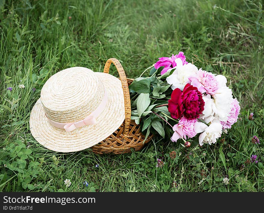 Beautiful bouquet of bright peony  flowers in basket. Beautiful bouquet of bright peony  flowers in basket