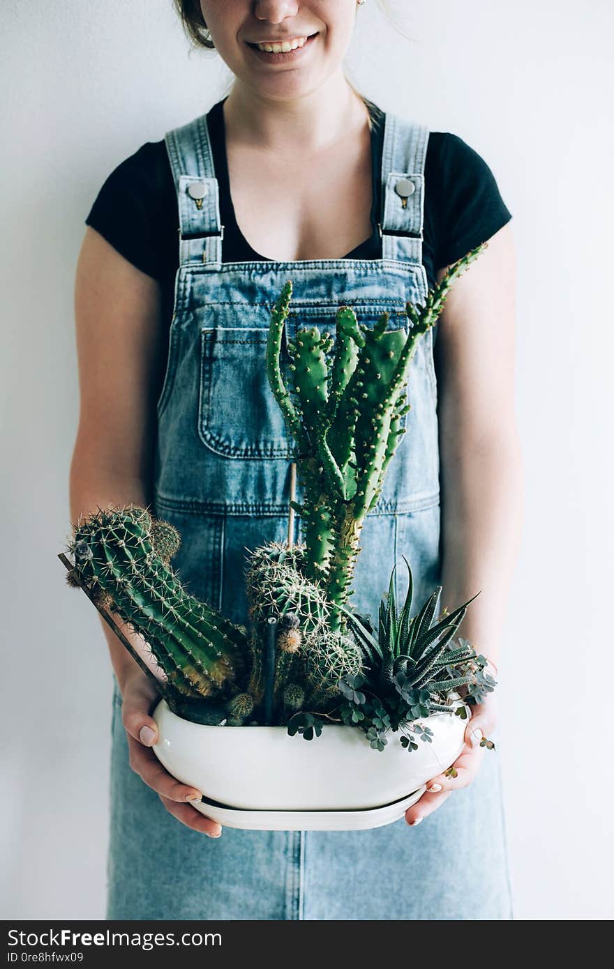 Young woman holds a pot with big old cactus against a white wall in her house. Young woman holds a pot with big old cactus against a white wall in her house.