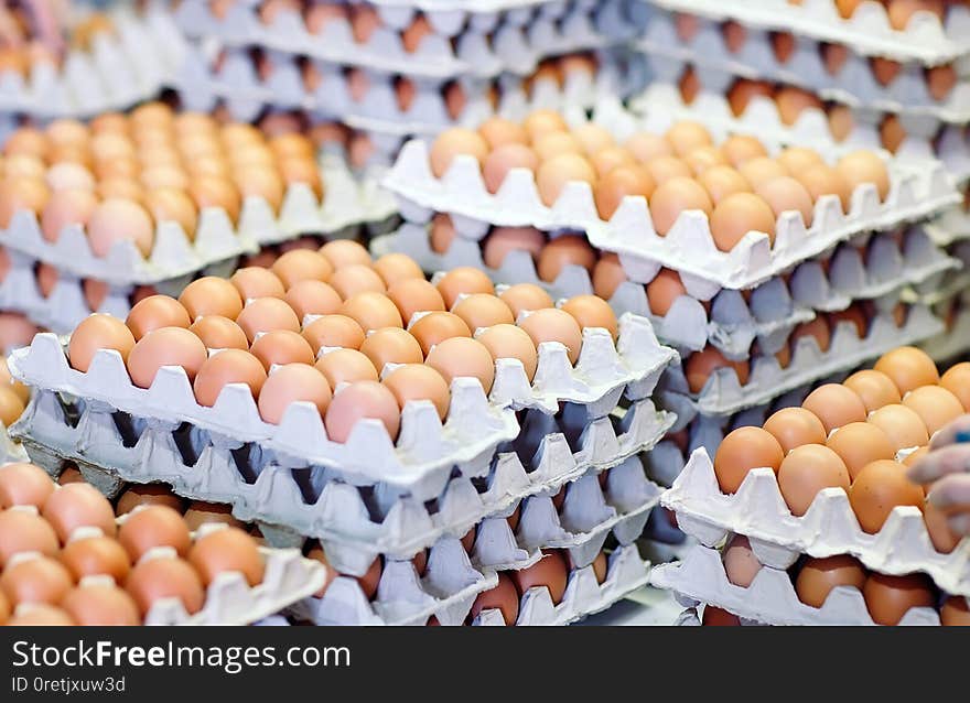 A lot of eggs in the cardboard boxes