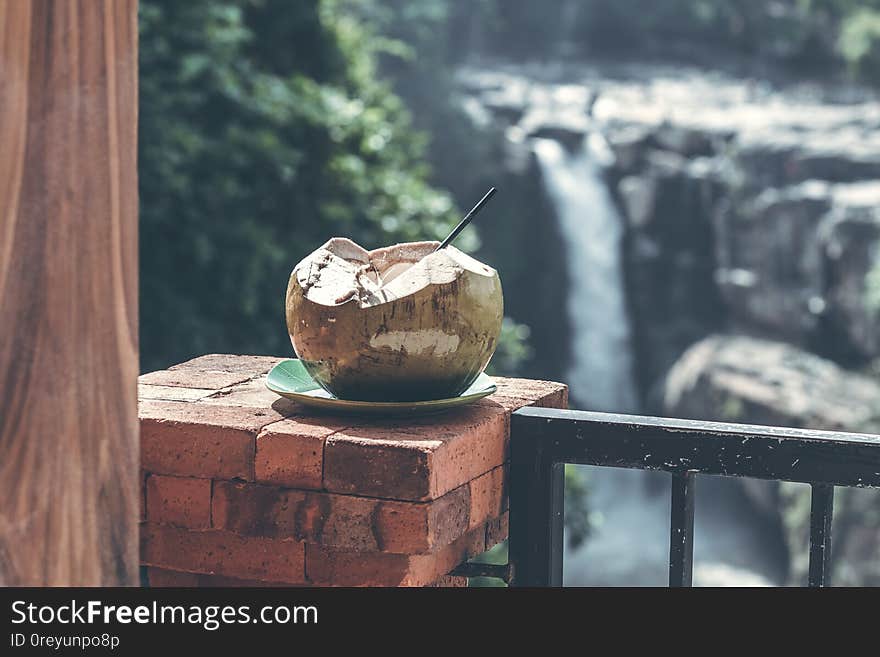 Young fresh organic coconut on a waterfall background in the jungle of Bali island. Indonesia.