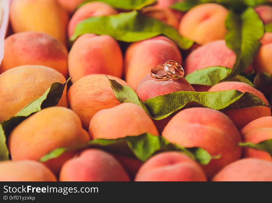 Wedding rings on the apricots. beautiful summer wedding.