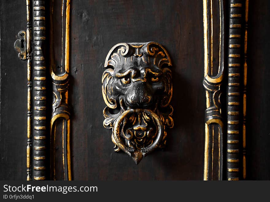 Old antique door knocker with lion face