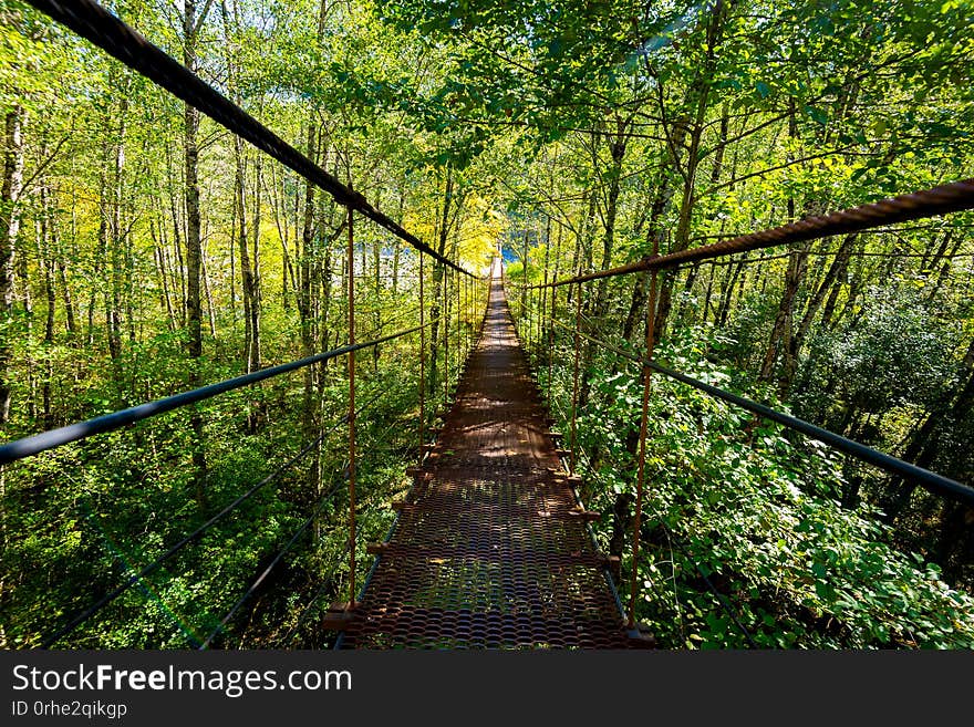 Narrow metal foot bridge across forest in autumn