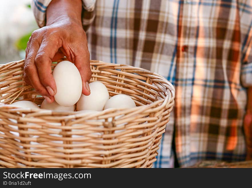 Farmers hold many duck eggs in a basket to be eaten as food. Farmers hold many duck eggs in a basket to be eaten as food