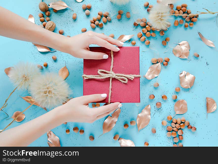 Nature Decor,flowers .box On Blue Backgrond