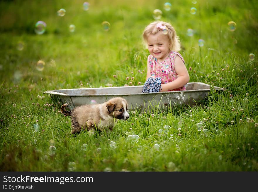 Little girl sits in a trough and washes a dress on a green meadow. next to a little puppy in the grass among the flowers. Simple rural farm spiritual look.