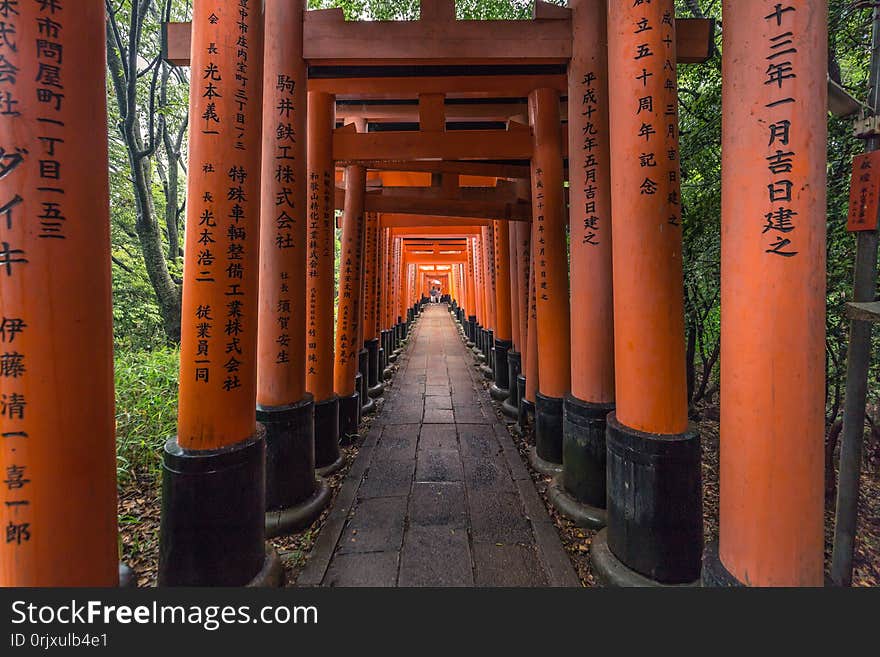 Kyoto - May 28, 2019: Torii gates of the Fushimi Inari Shinto shrine in Kyoto, Japan