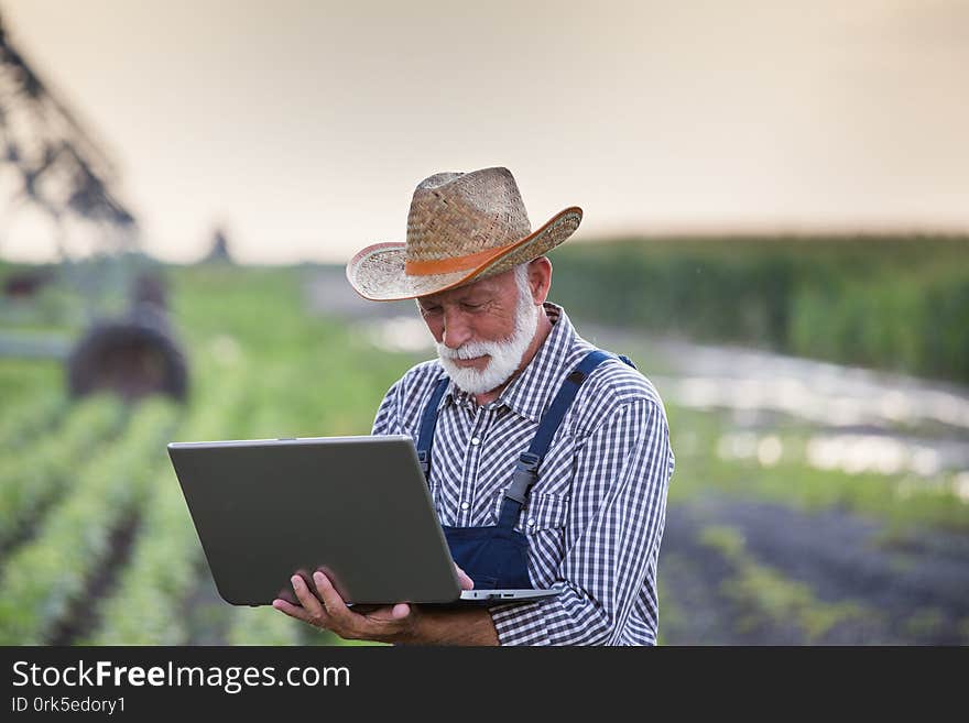 Senior farmer looking at laptop with irrigation system in soybean field in background. Senior farmer looking at laptop with irrigation system in soybean field in background