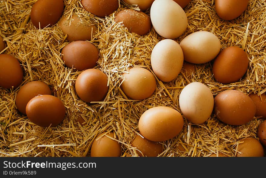 Organic fresh farm eggs at the market place