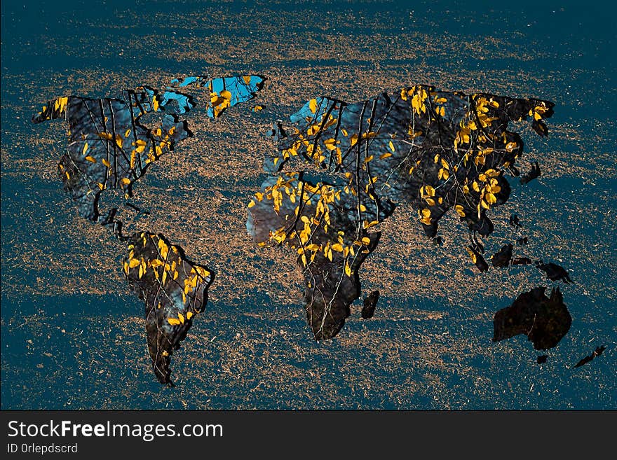 Roughly outlined world map with dry Autumn leaves  filling