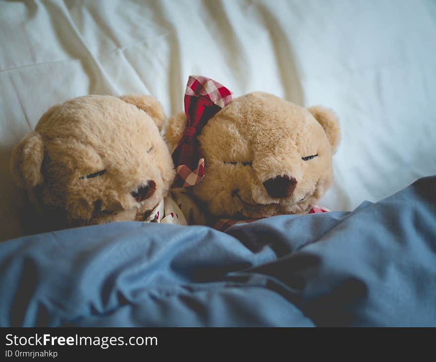 Two teddy bears in the bed, Teddy Bear Lovers. Valentine concept, Two teddy bears couple,Vintage retro romantic.Unusual creative valentine greeting card. Valentines Day. Love