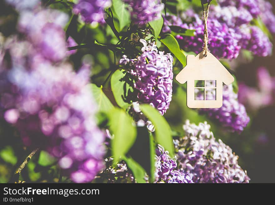 The symbol of the house among the branches of the pink lilac