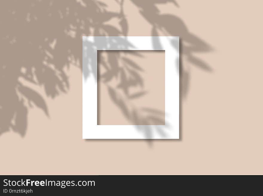 Top view of the shade of the tree leaves on a sand-colored background. Flat style. A piece of paper in the background. Layout with the imposition of plant shadows. Natural light casts a shadow from above, overlay, branch, illustration, mock, up, mockup, postcard, presentation, template, white, blurred, branding, cards, concept, design, effect, invitation, overlap, photo, realistic, photographic, poster, product, scene, sunlight, tropical, window, leaf, a4, abstract, blurry, fuzzy, letter, lighting, marble, palm, sheet, texture, thank, vague, yellow