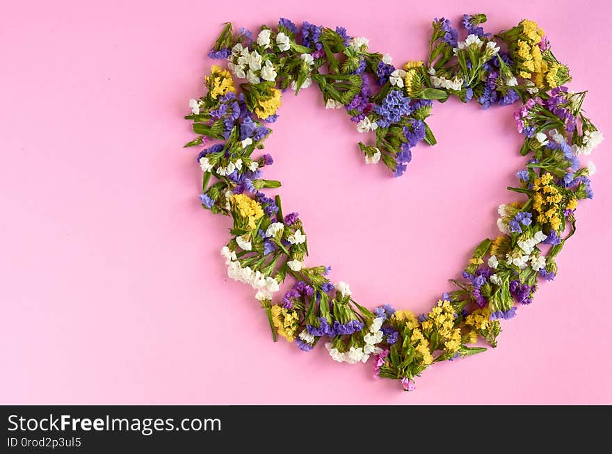 Colored flowers on pink background composition, heart shape