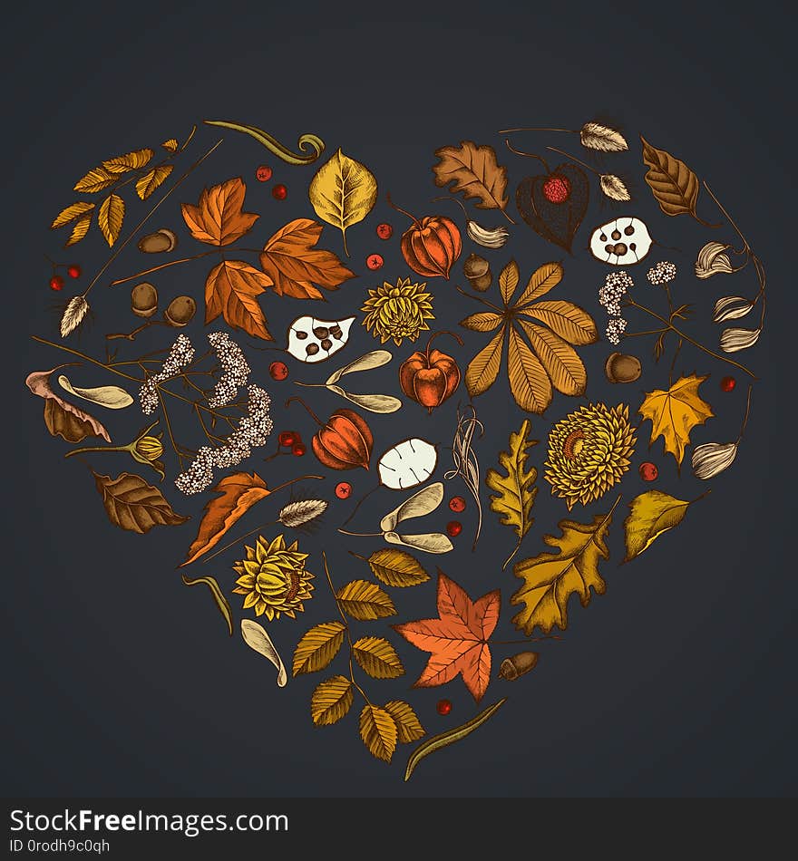 Heart design on dark background with rowan, rowan, acorn, buckeye, fern, maple, birch, maple leaves, lagurus, feather