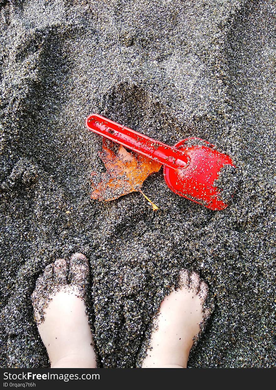 Red leaf and shovel in the sand