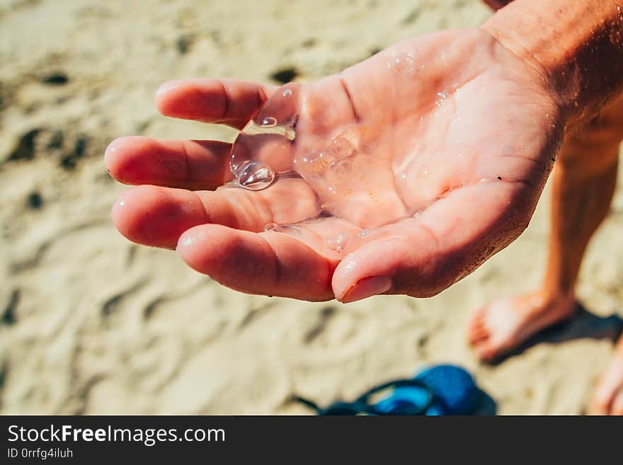 Small transpatent jellyfish in tha hand on the sand beach