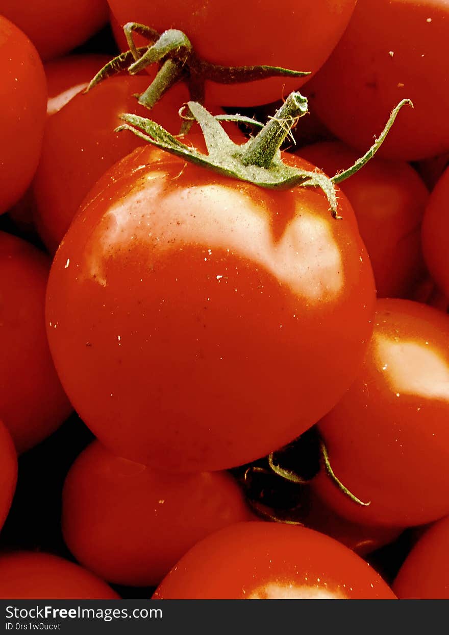 Tomatoes, which are fruits or vegetables, are healthful foods that contain lots of vitamins. Tomatoes, which are fruits or vegetables, are healthful foods that contain lots of vitamins