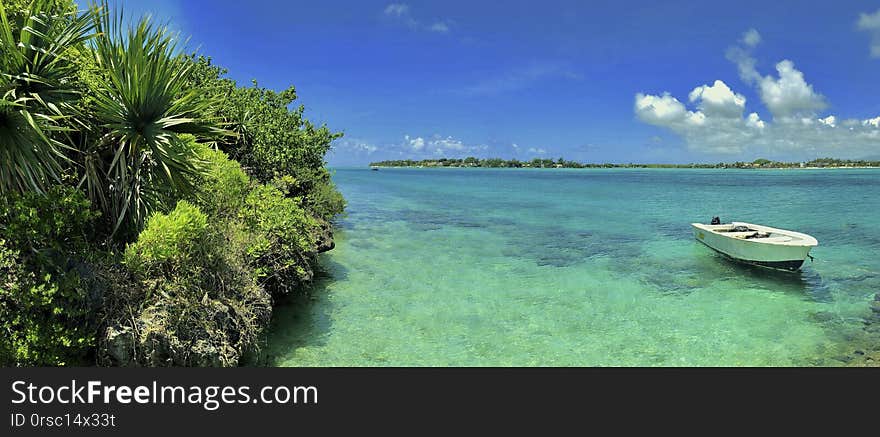 ile aux aigrettes with view on lion mountain on mauritius island. ile aux aigrettes with view on lion mountain on mauritius island