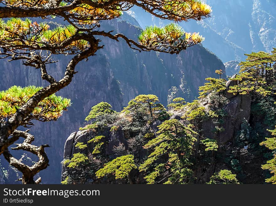 UNESCO World Heritage Site Natural beautiful landscape of Huangshan mountain scenery  Yellow mountain  in Anhui CHINA, It is a best of China major tourist destination.