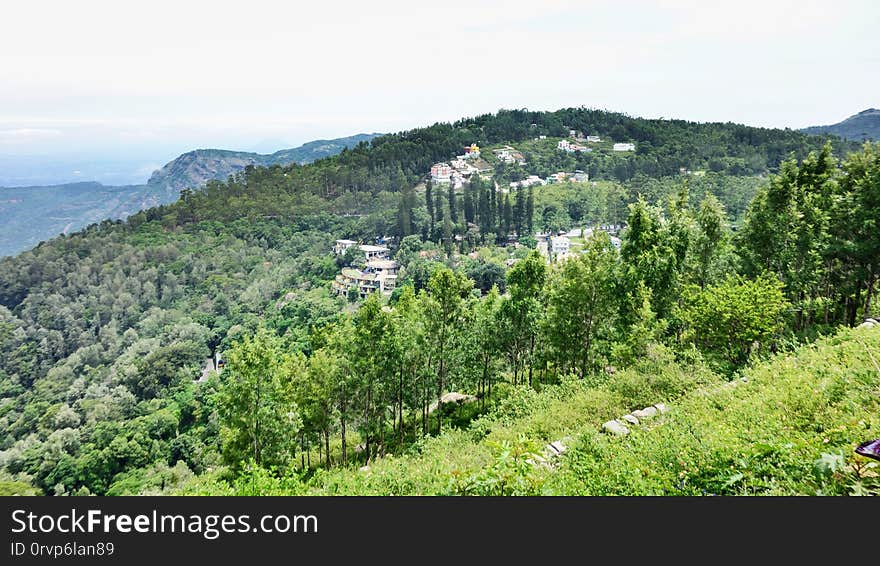 shevaroy hills, Yercaud