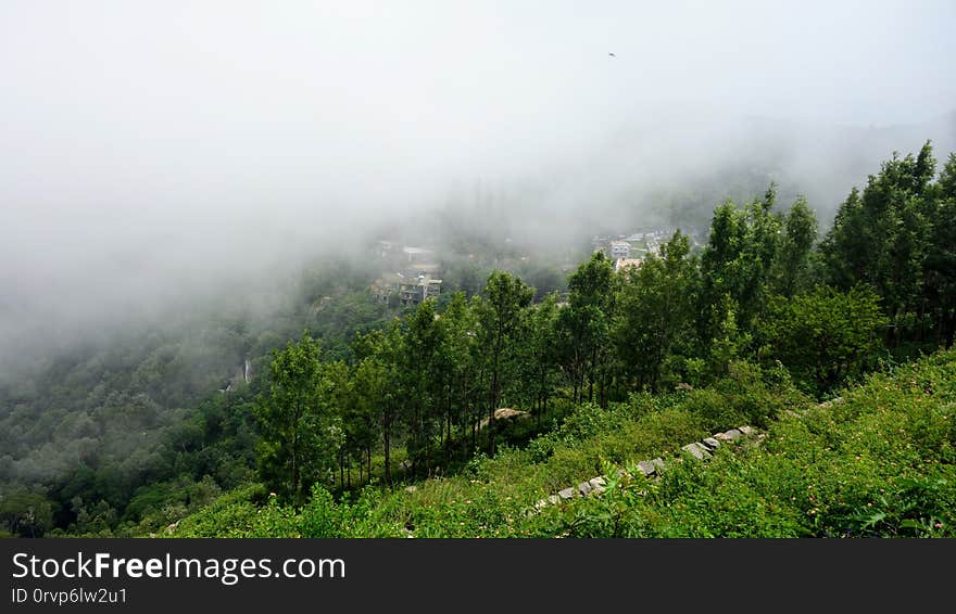 Shevroy hills is a group of mountains in Eastern Ghats , Yercaud hill sation is one among them. Yercaud hill station is also the biggest town in Shevroy hills and located near Salem, Tamilnadu, India. The Major attractions at Yercaud hill station are, boating at Big Lake, Deer Park, Poppy Hills adventure park , Botanical Garden, Shevaroy Temple, Gent&#x27;s Seat, Montfort School, Kiliyur Falls, Lady&#x27;s Seat, 32-km Loop Road, Karadiyur View Point, Pagoda Point, Children&#x27;s seat, Manjakuttai View Point, Kadukkamaram Breast Hill Viewpoint, MSP Cauvery Peak coffee plantation, Retreat Church Don Bosco&#x27;s Viewpoint and Anna Park. Yercaud - Salem state highway which leads to Yercaud hill station have 20 hairpin bends. Altitude of Yercaud hill station is 1515 metres above sea level. Ola cab service is available from Salem city to Yercaud hill station. Yercaud town is 35 km away from Salem railway station and Ola Taxi fare &#x28;May 2018&#x29; fare is near 1270 INR. Shevroy hills is a group of mountains in Eastern Ghats , Yercaud hill sation is one among them. Yercaud hill station is also the biggest town in Shevroy hills and located near Salem, Tamilnadu, India. The Major attractions at Yercaud hill station are, boating at Big Lake, Deer Park, Poppy Hills adventure park , Botanical Garden, Shevaroy Temple, Gent&#x27;s Seat, Montfort School, Kiliyur Falls, Lady&#x27;s Seat, 32-km Loop Road, Karadiyur View Point, Pagoda Point, Children&#x27;s seat, Manjakuttai View Point, Kadukkamaram Breast Hill Viewpoint, MSP Cauvery Peak coffee plantation, Retreat Church Don Bosco&#x27;s Viewpoint and Anna Park. Yercaud - Salem state highway which leads to Yercaud hill station have 20 hairpin bends. Altitude of Yercaud hill station is 1515 metres above sea level. Ola cab service is available from Salem city to Yercaud hill station. Yercaud town is 35 km away from Salem railway station and Ola Taxi fare &#x28;May 2018&#x29; fare is near 1270 INR.