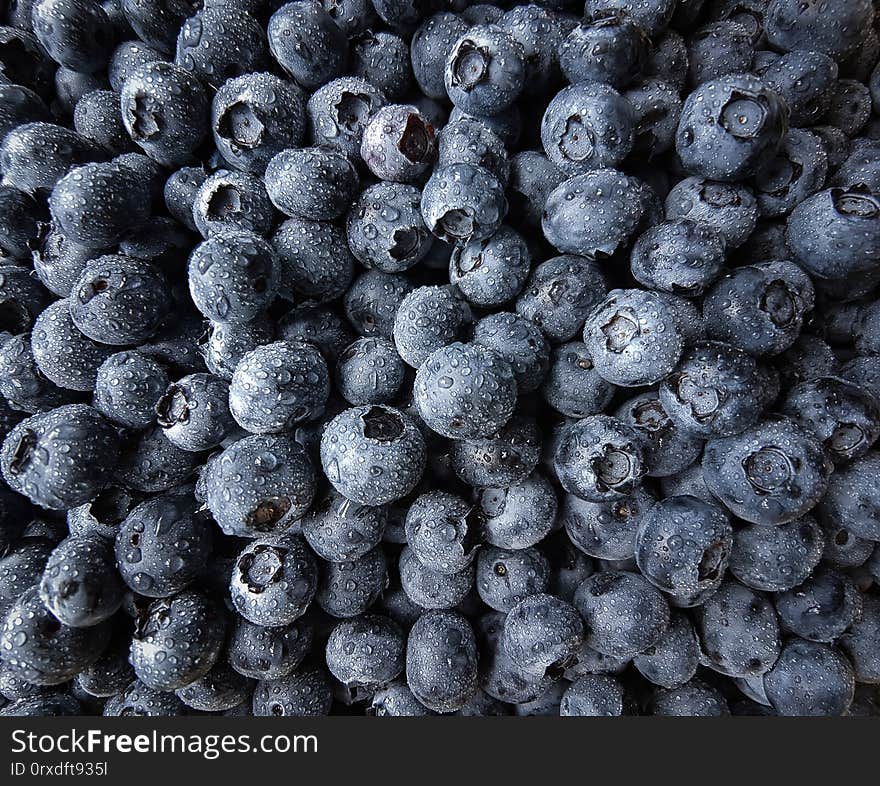 Fresh Blueberries Close up Background. Fresh Blueberries Close up Background